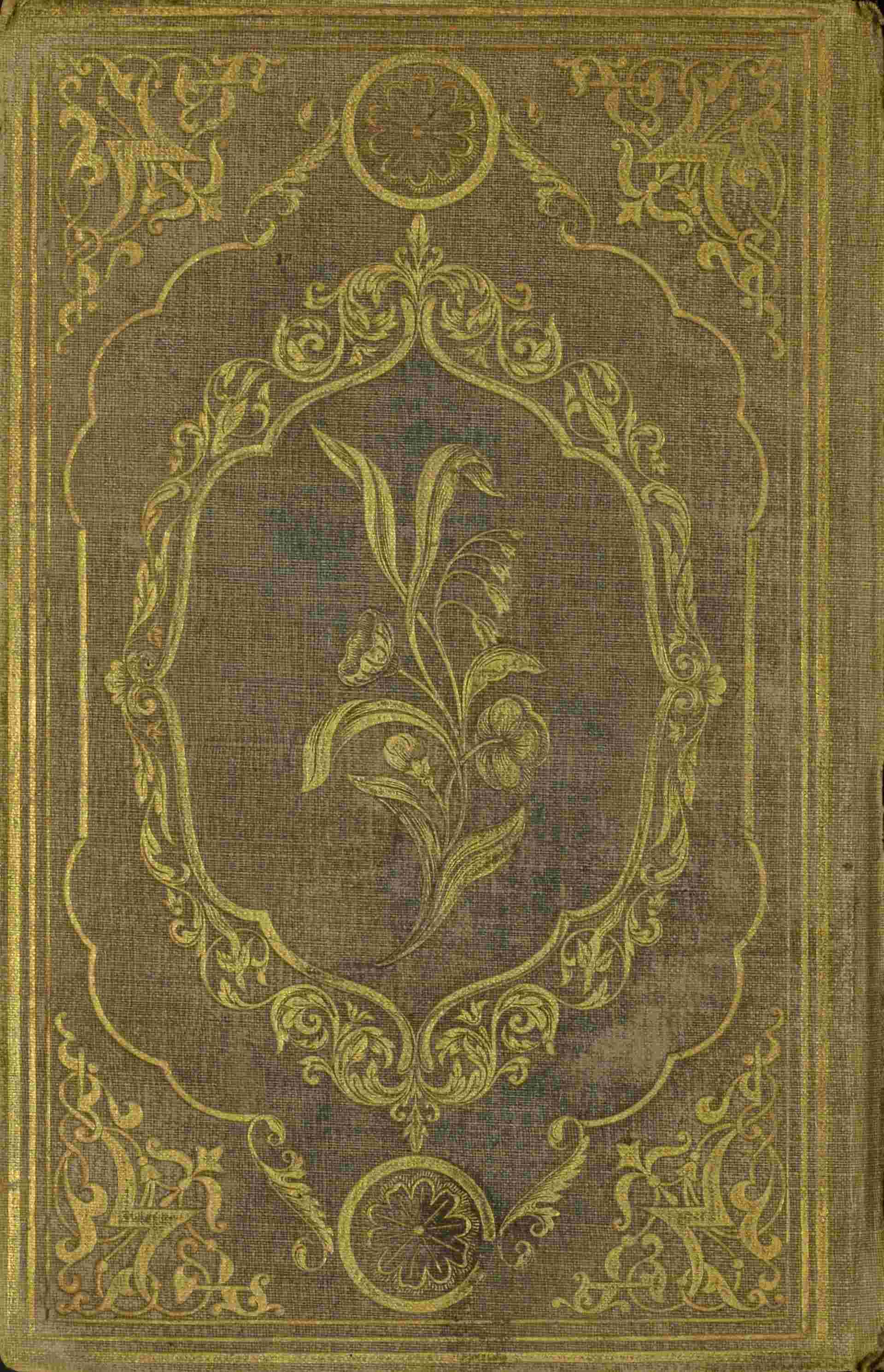 [The image of the book's back cover is unavailable.]