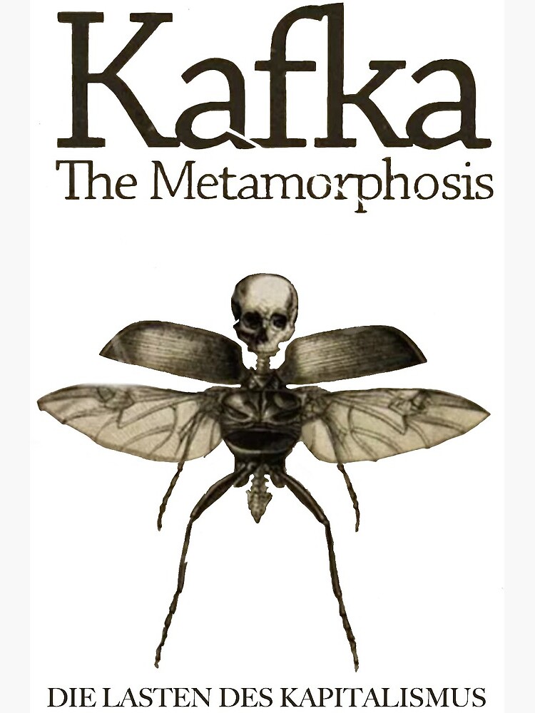 Cover of Metamorphosis